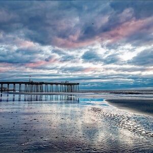 Meet your Posher, Betsy